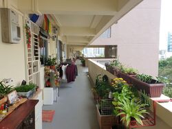 Blk 806 King George's Avenue (Kallang/Whampoa), HDB 3 Rooms #560676941